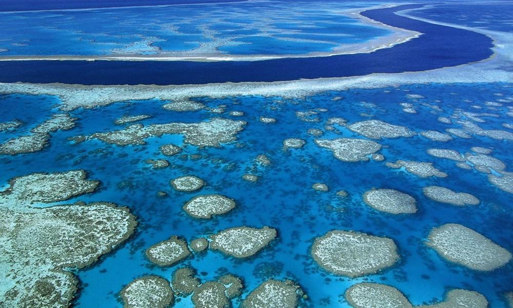 Great barrier reef australia